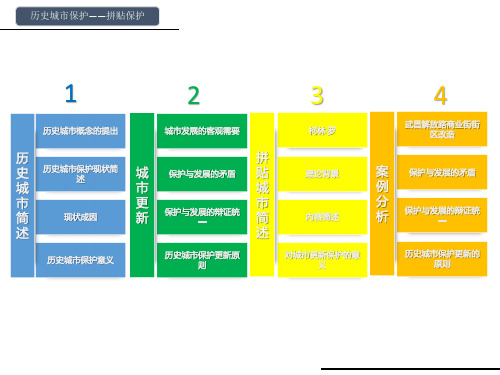 历史城市保护——拼贴保护