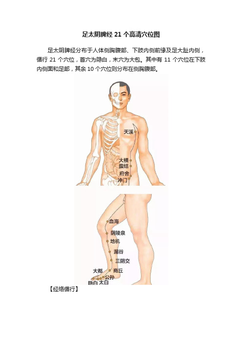 足太阴脾经21个高清穴位图