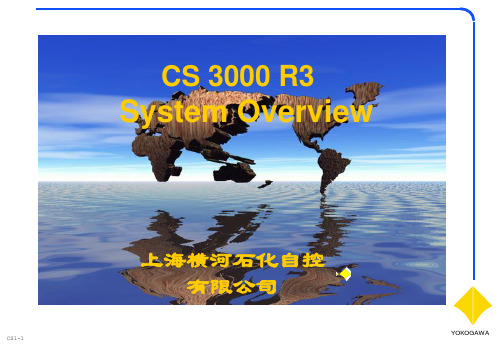 CS3000--R3系统简介