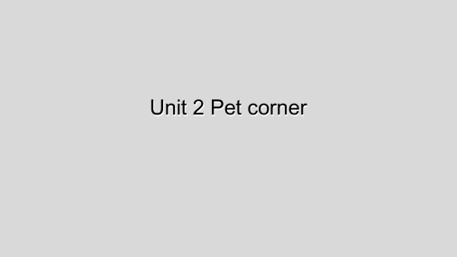 深港朗文版三年级下册Unit2、Pet、corner课件3