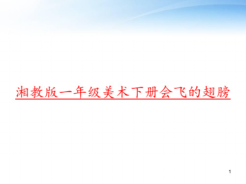 湘教版一年级美术下册会飞的翅膀 ppt课件