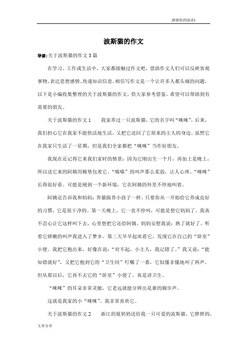 波斯猫的作文