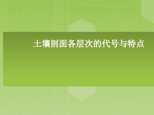 土壤剖面各层次的代号与特点