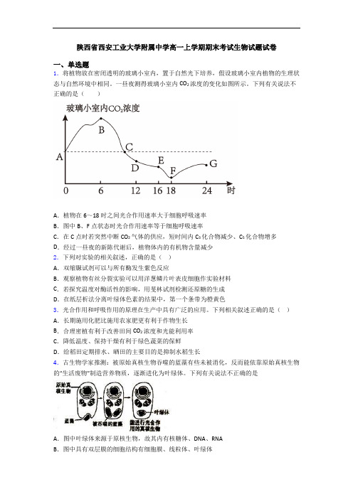陕西省西安工业大学附属中学高一上学期期末考试生物试题试卷