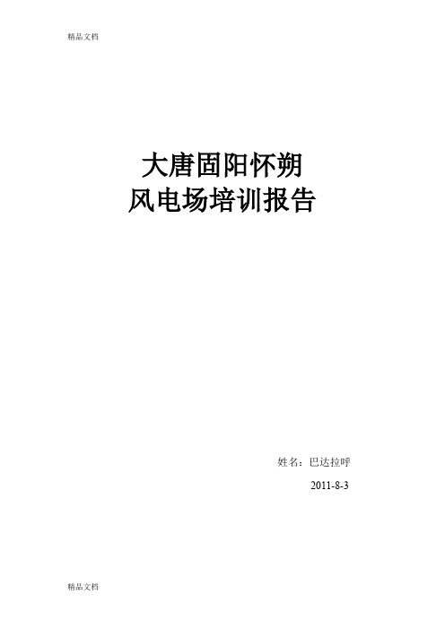 (整理)巴达拉呼的培训报告