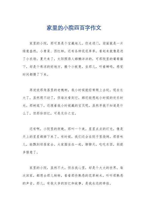 家里的小院四百字作文