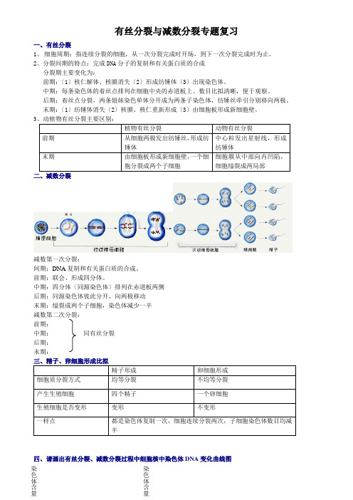 有丝分裂与减数分裂专题复习