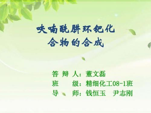 化工合成毕业答辩PPT