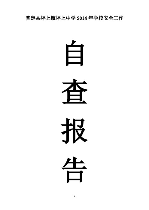 普定县坪上镇坪上中学2014年安全工作自查报告