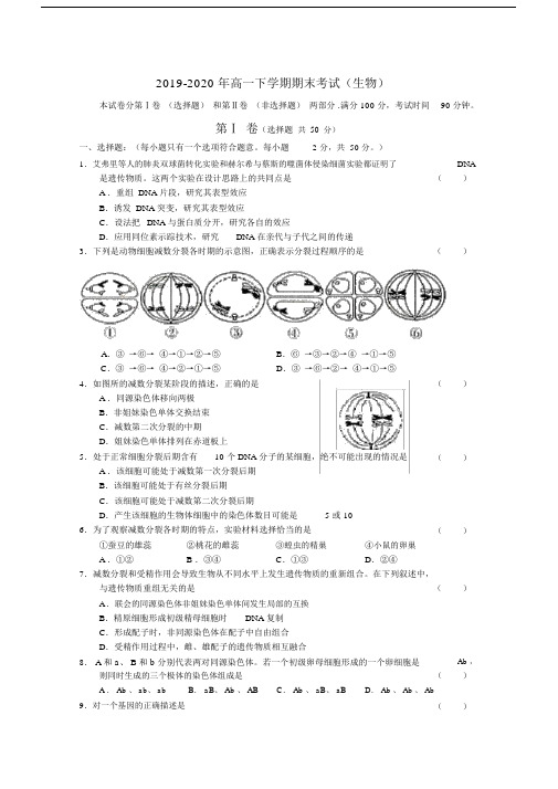 2019-2020年高一下学期期末考试(生物).docx