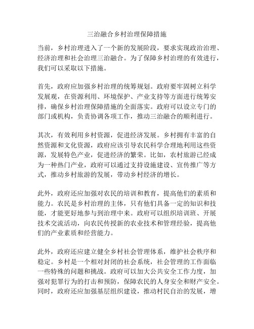 三治融合乡村治理保障措施