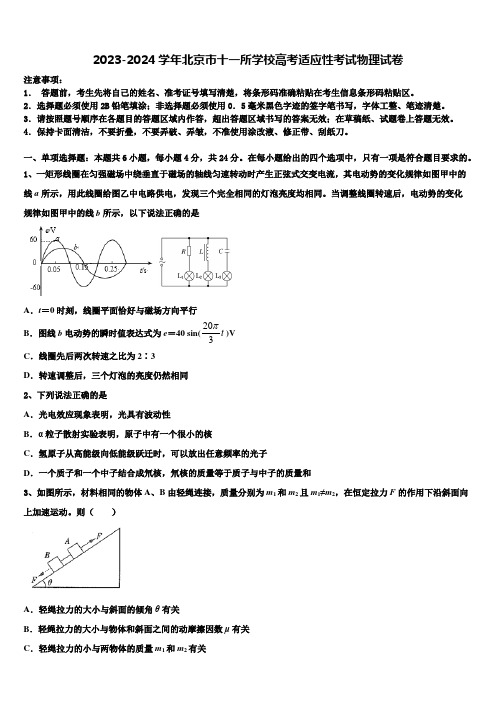 2023-2024学年北京市十一所学校高考适应性考试物理试卷含解析