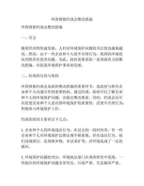 环保督察约谈会整改措施