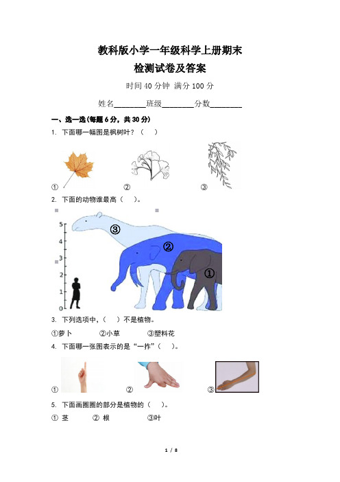 教科版小学一年级科学上册期末检测试卷及答案(含两套题)