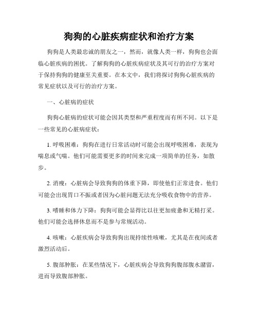 狗狗的心脏疾病症状和治疗方案