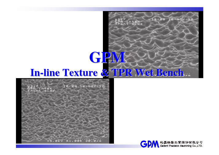 GPM PV Inline Wet Bench设备介绍