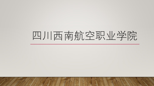 四川西南航空职业学院