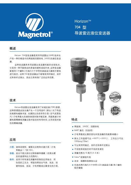 0MAGNETROL导波雷达