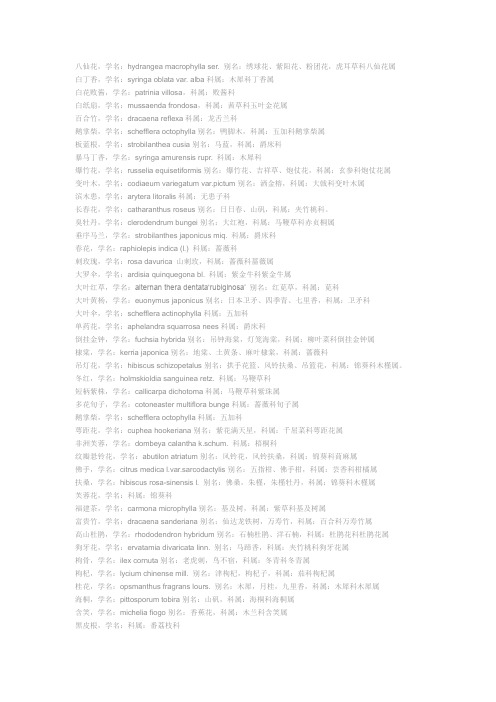 常用灌木地被学名及科属(1)