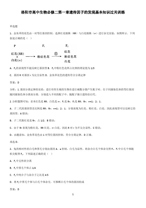 洛阳市高中生物必修二第一章遗传因子的发现基本知识过关训练