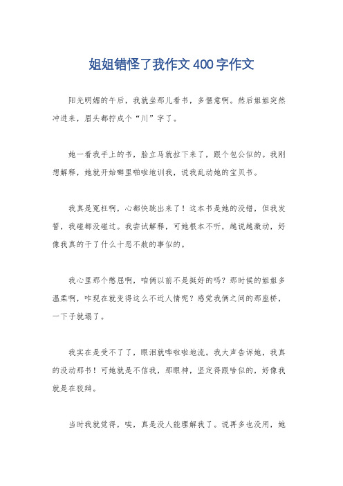 姐姐错怪了我作文400字作文