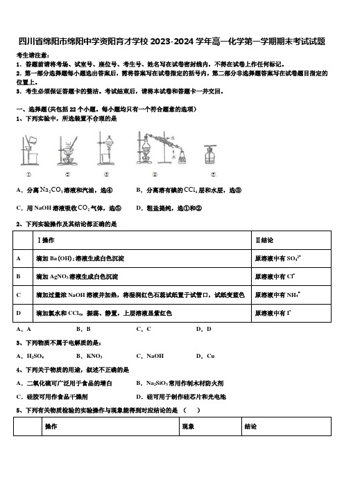 四川省绵阳市绵阳中学资阳育才学校2023-2024学年高一化学第一学期期末考试试题含解析