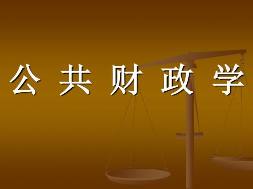 公共财政学