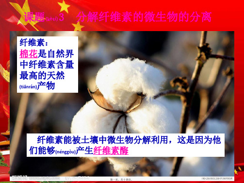 高中生物 专题二 微生物的培养与应用 2.3 分解纤维素的微生物的分离课件高二选修1生物课件