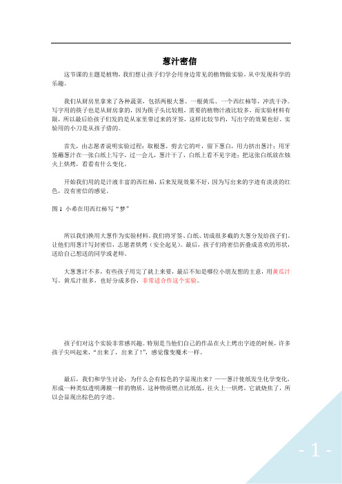 【中小学科学实验】葱汁密信