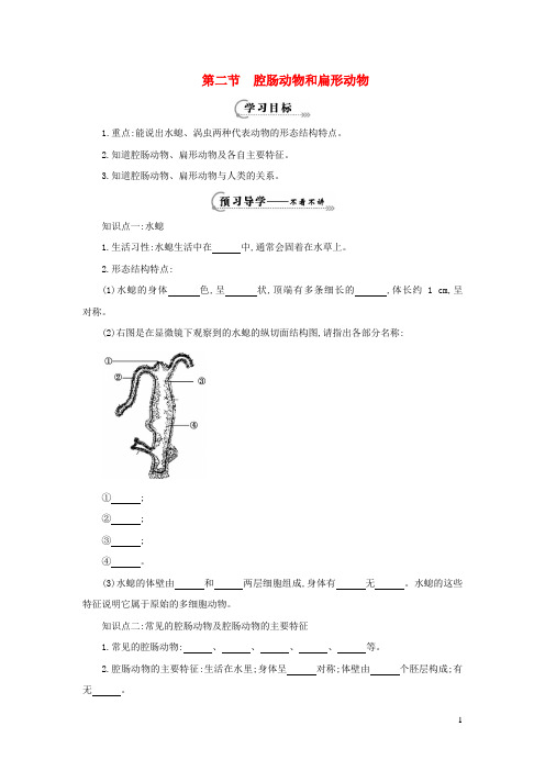 平乡县第七中学七年级生物上册第一单元我们身边的生命世界第四章多种多样的动物第二节腔肠动物和扁形动物学