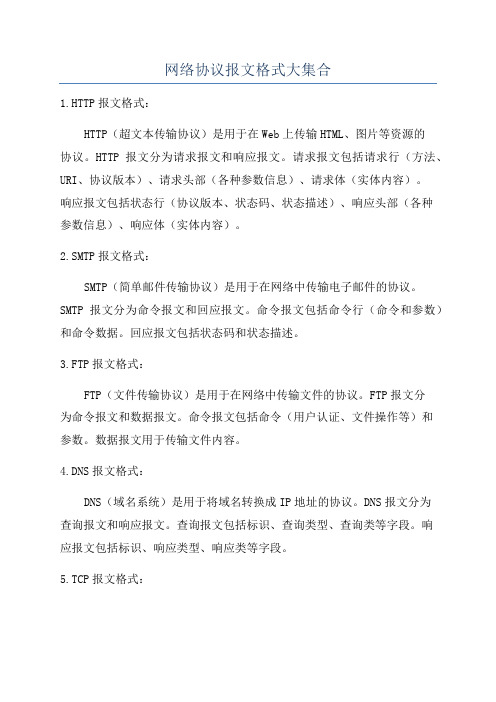 网络协议报文格式大集合