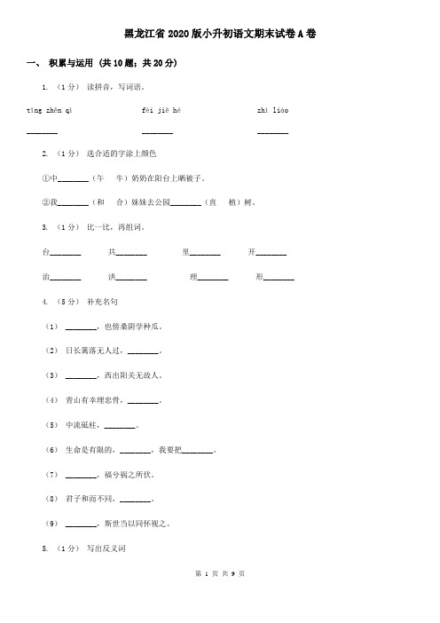 黑龙江省2020版小升初语文期末试卷A卷(精编)