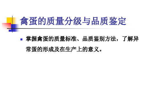 禽蛋的质量分级与品质鉴定培训课件精品课件(ppt41页)