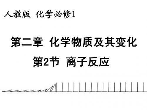 高一化学必修一 第二章第二节第四课时 离子共存