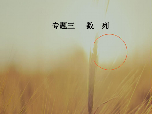 2018高考新课标数学理二轮专题复习课件:专题三第1讲等差数列与等比数列 精品
