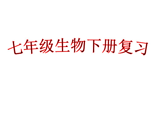 七年级下册生物第一章人的由来复习课件