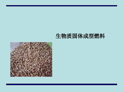 生物质固体成型燃料(2学时)