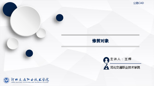 公路CAD课件33