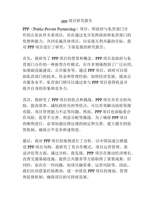 ppp项目研究报告