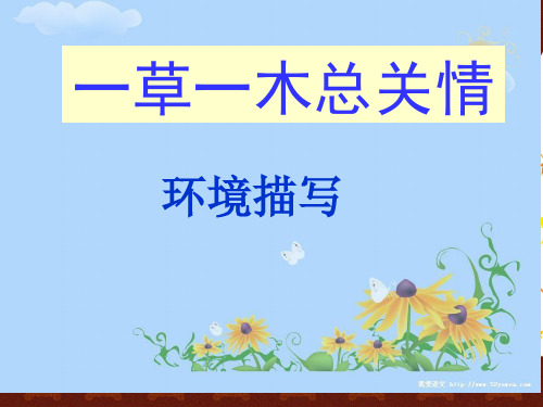 环境描写的基础知识(PPT 38页)