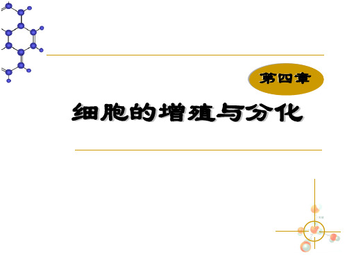 高中生物必修一人教版必修一第六章第一节细胞的增殖(共41张PPT)