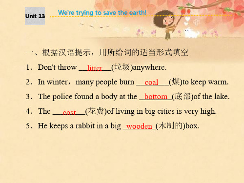 人教版九年级全册英语课件:Unit 13 We are trying to save the earth(共21张PPT)