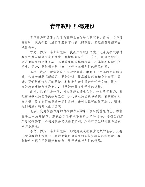 青年教师 师德建设