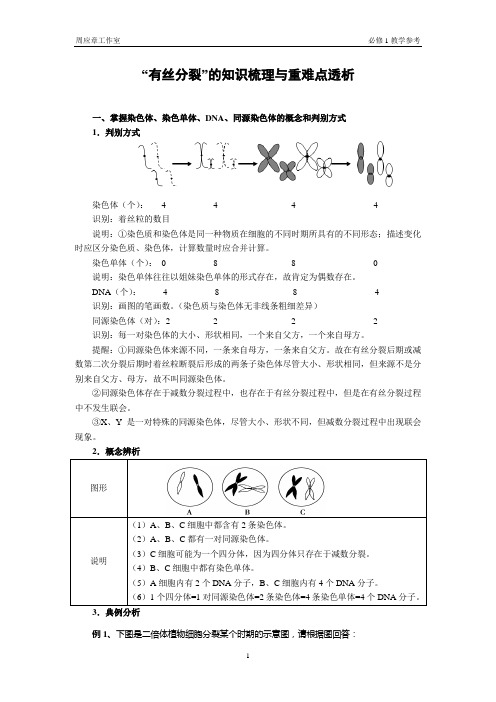 首先介绍染色体、染色单体、DNA、同源染色体、四分体