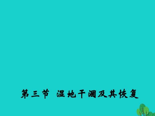 高中地理4.3湿地干涸及其恢复课件新人教版选修6