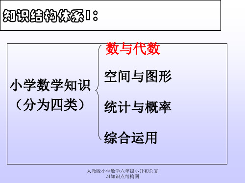 人教版小学数学六年级小升初总复习知识点结构图