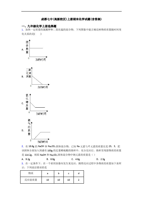 成都七中(高新校区)初三化学上册期末化学试题(含答案)