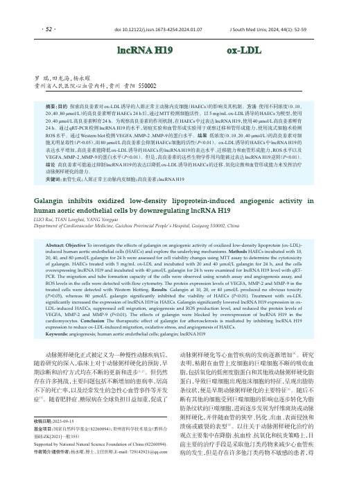 高良姜素通过下调lncRNA_H19的表达抑制ox-LDL诱导的人源正常主动脉内皮细胞血管生成活性