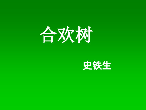 《合欢树》   ppt课件