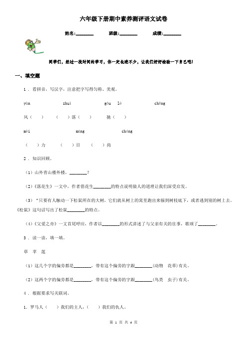 六年级下册期中素养测评语文试卷